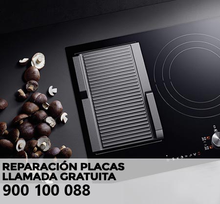 Reparación averías placa de cocción Philco